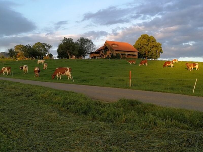 No image description